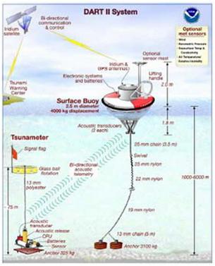 VND 80 billion for earthquake observation project and tsunami warning images 1
