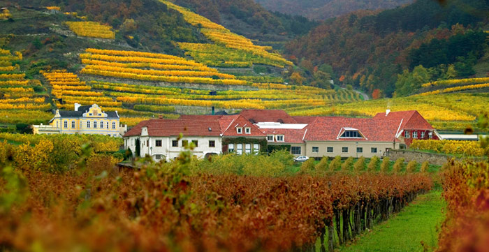 Picture 15 of Wachau Cultural Landscape