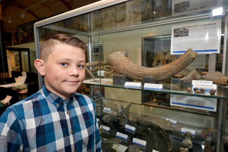 Picture 1 of Walk the beach, discover artifacts for 6,000 years