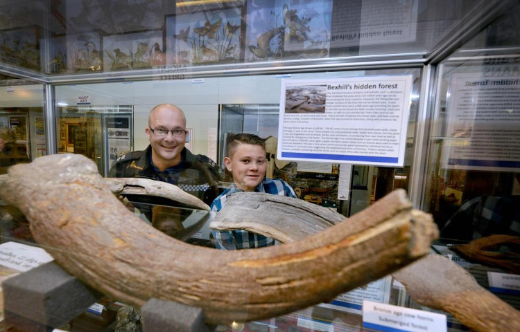 Picture 2 of Walk the beach, discover artifacts for 6,000 years
