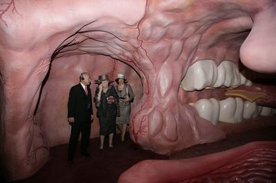Picture 7 of Walking in the human body