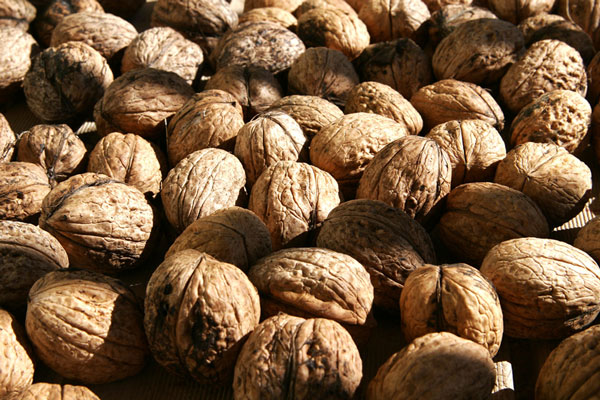 Picture 1 of Walnuts help reduce the risk of cardiovascular disease