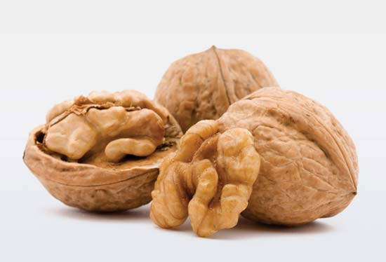 Picture 1 of Walnuts help reduce the risk of diabetes