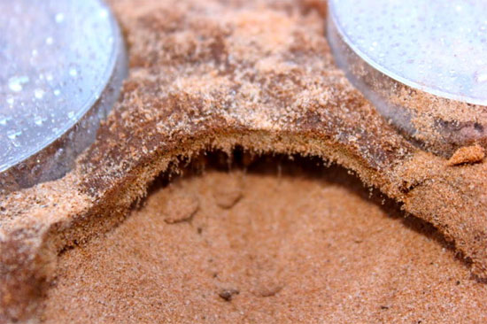 Picture 1 of Warming earth affects microbial life underground