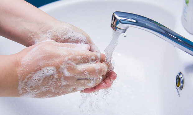 Picture 2 of Warn predatory bacteria to attack during the rainy season