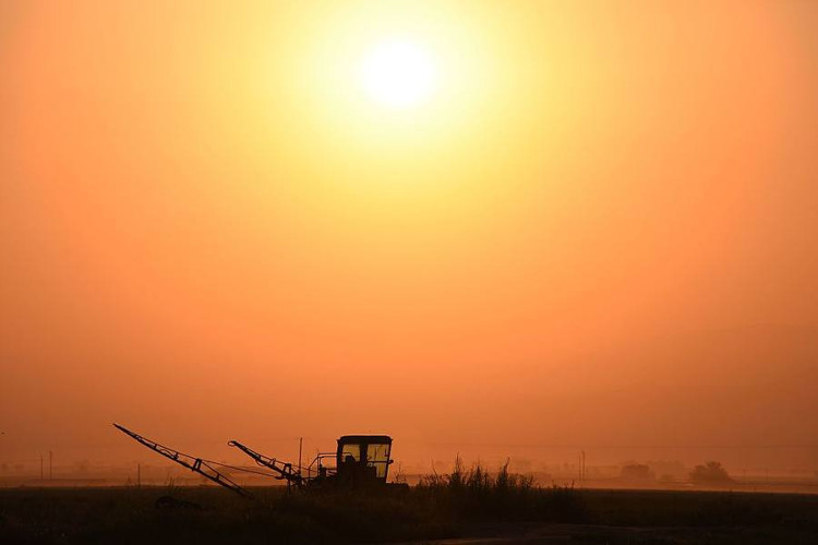 Picture 1 of Warning global surface temperatures have increased by more than 25% since 1900