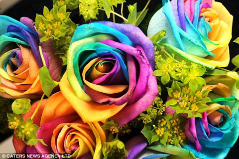 Picture 1 of Watch unique multicolor roses