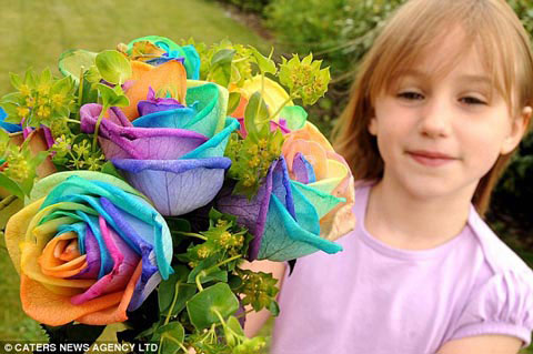 Picture 2 of Watch unique multicolor roses