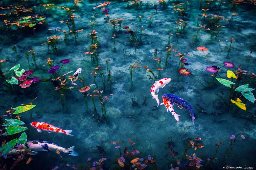 Picture 2 of Watching Japan in the rainy season is even more beautiful than paintings
