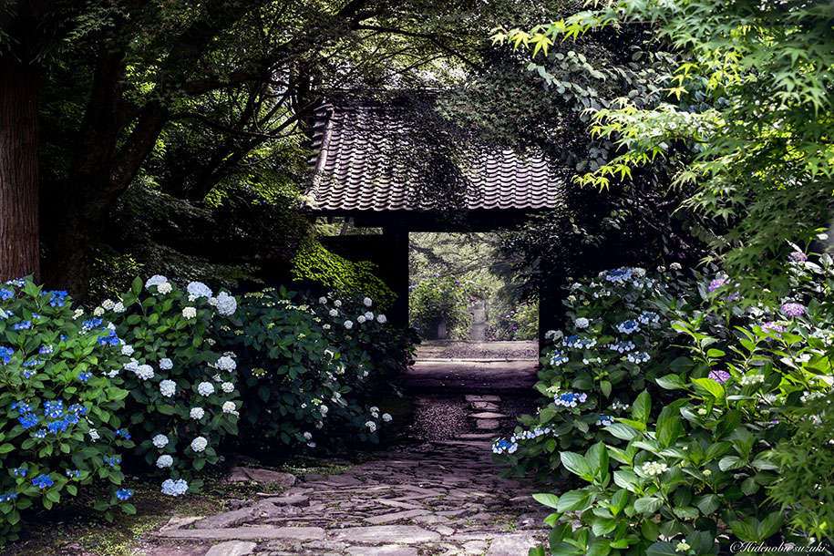 Picture 3 of Watching Japan in the rainy season is even more beautiful than paintings