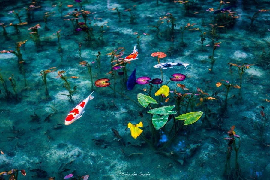 Picture 5 of Watching Japan in the rainy season is even more beautiful than paintings