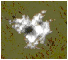 Picture 1 of Water freezes right under the surface of Mars
