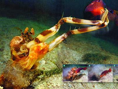 Picture 2 of Water monsters