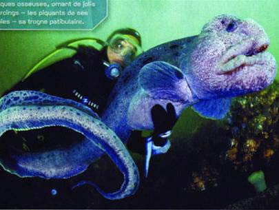 Picture 5 of Water monsters