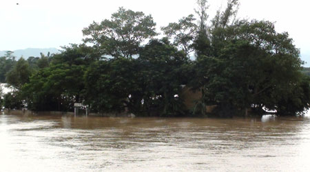 Picture 3 of Water of Lam river is high, many houses are flooded