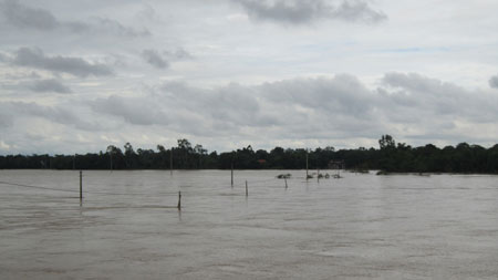 Picture 9 of Water of Lam river is high, many houses are flooded
