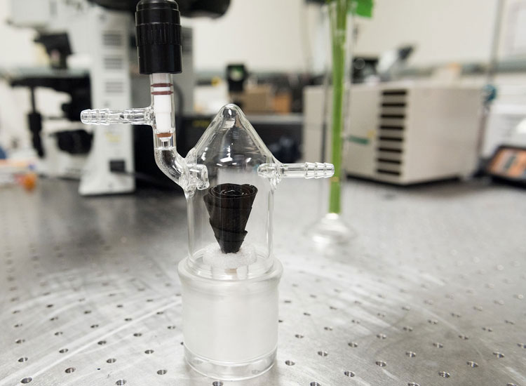 Picture 1 of Water purifier inspired by rose tree