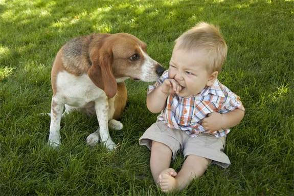 Picture 3 of Ways of expressing the very 'human' emotions of animals