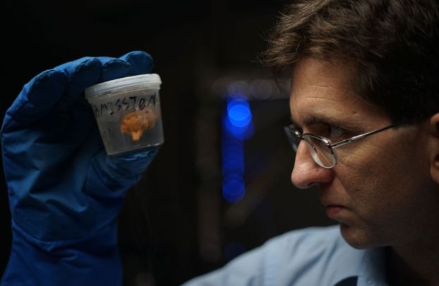 Picture 4 of We can live immortally for the next 30 years by uploading a brain into a robot