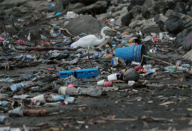 Picture 9 of We live in the ocean of garbage