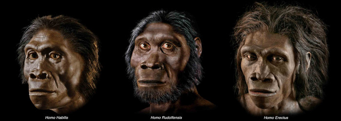 Picture 4 of We will not exist if this event did not happen 600 million years ago