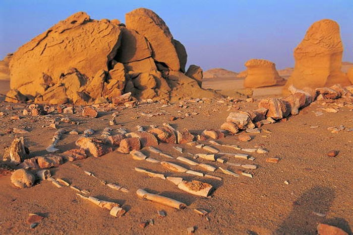 Picture 2 of Whale Valley - World Natural Heritage in Egypt