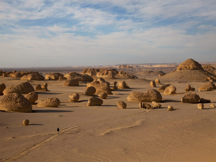 Picture 4 of Whale Valley - World Natural Heritage in Egypt