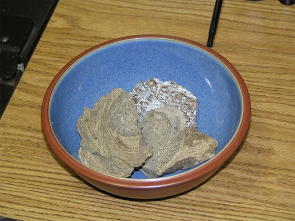 Picture 1 of Whale vomit is ... very powerful aphrodisiac