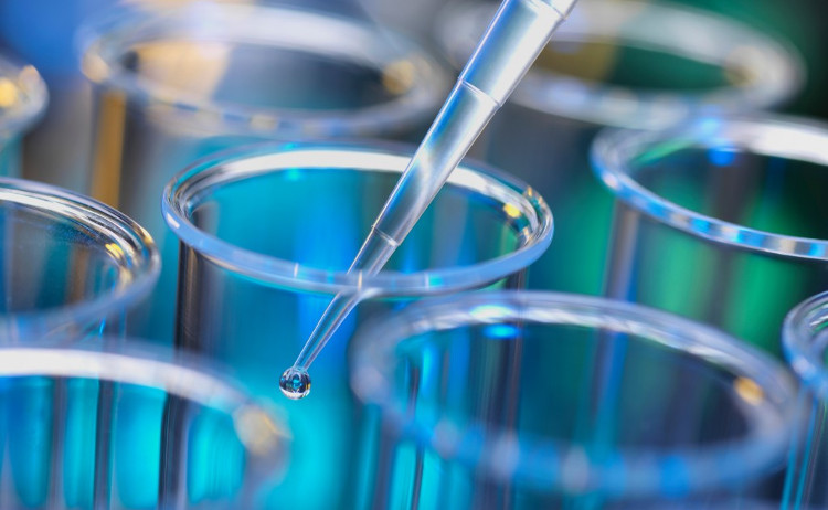 Picture 2 of What are stem cells?  How advanced is medicine in this area?