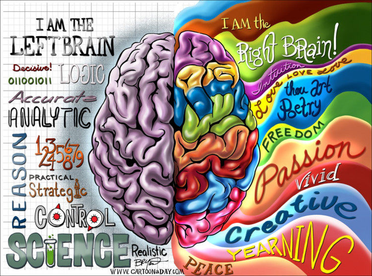 Picture 5 of What determines your right hand?  The answer is not everyone knows