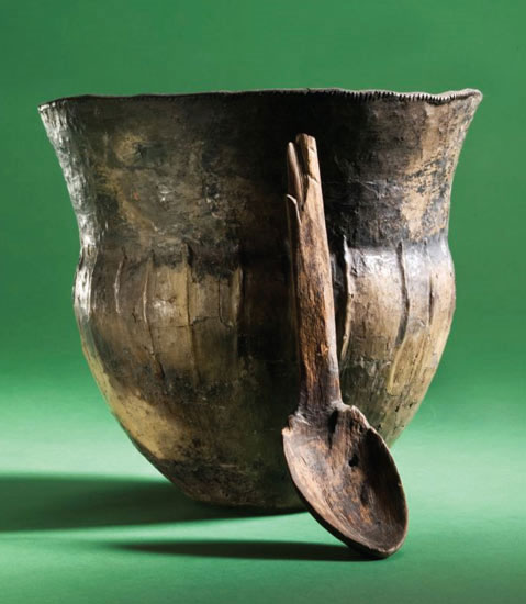 Picture 1 of What did people in stone age eat?