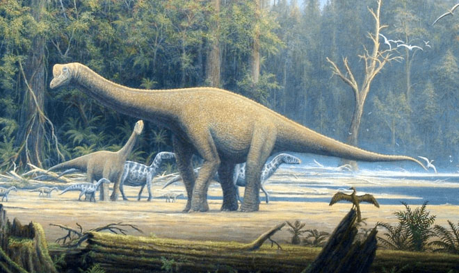 Picture 3 of What did the old dinosaur eat?  It turns out their menu is