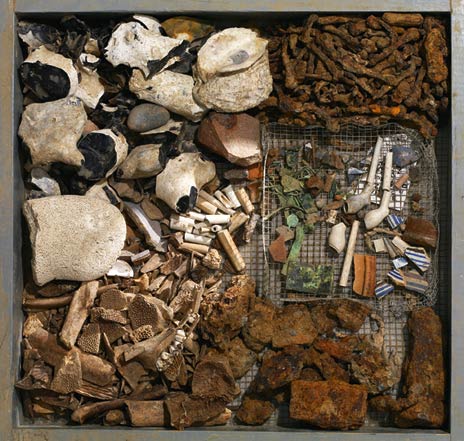 Picture 5 of What did they bring to the new world?