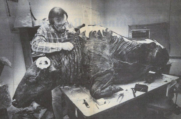 Picture 5 of What do archaeologists do when they discover a 36,000-year-old wild cow mummy?
