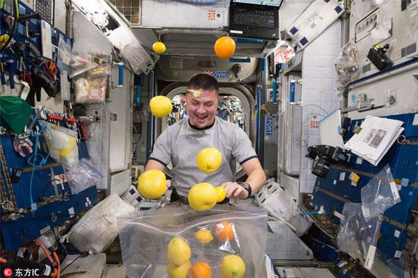 Picture 8 of What do astronauts eat out of space?