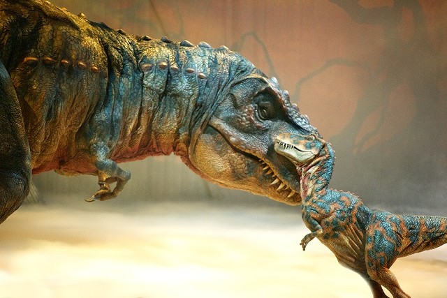 Picture 5 of What do scientists do to revive dinosaurs?