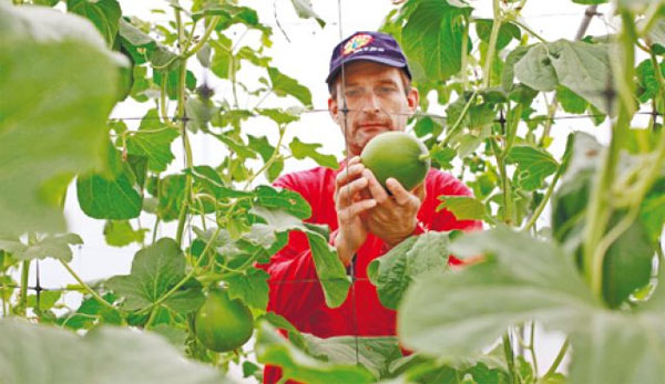 Picture 5 of What do we learn from Jewish farmers?