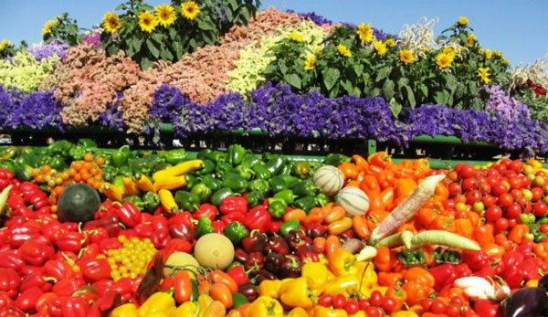 Picture 6 of What do we learn from Jewish farmers?
