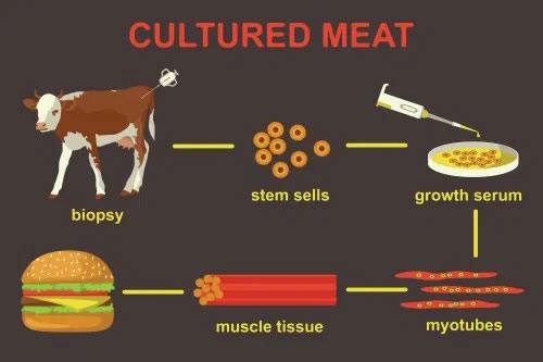 Picture 1 of What do you know about 'vegetarian' meat?