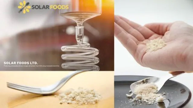 Picture 2 of What do you know about 'vegetarian' meat?