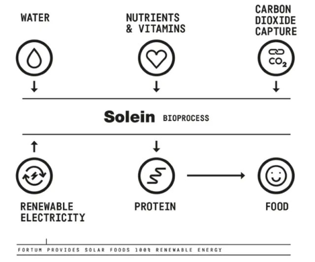 Picture 3 of What do you know about 'vegetarian' meat?