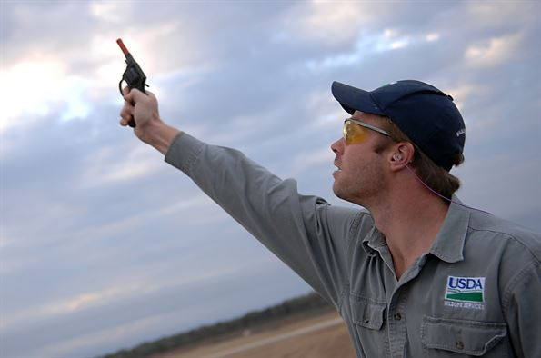 Picture 3 of What does the world do to limit aviation accidents caused by birds?