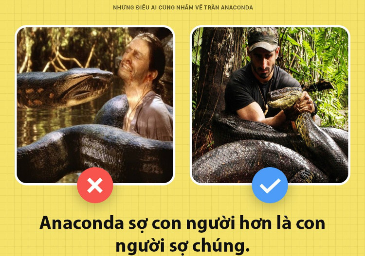 Picture 3 of What everyone mistook about Anacoda python