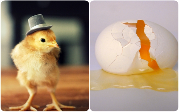 Picture 1 of What few people know about the number of chicken eggs we still eat every day