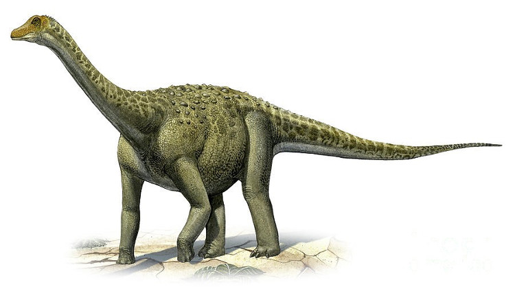 Picture 1 of What flavor does the dinosaur meat taste good or not?