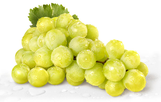 Picture 2 of What fruit cure?