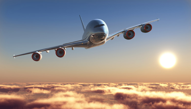 Picture 2 of What happens if someone dies on the plane?