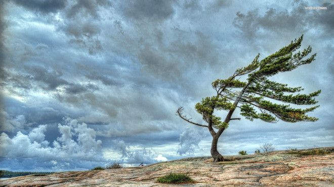 Picture 4 of What happens if the wind stops blowing on Earth?