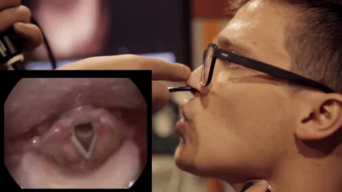 What happens in the throat of a person while beatboxing? images 2