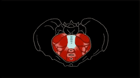 Picture 10 of What happens to the body if you hold your urine?